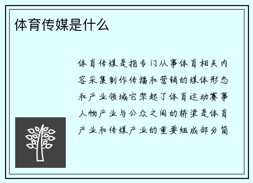 体育传媒是什么